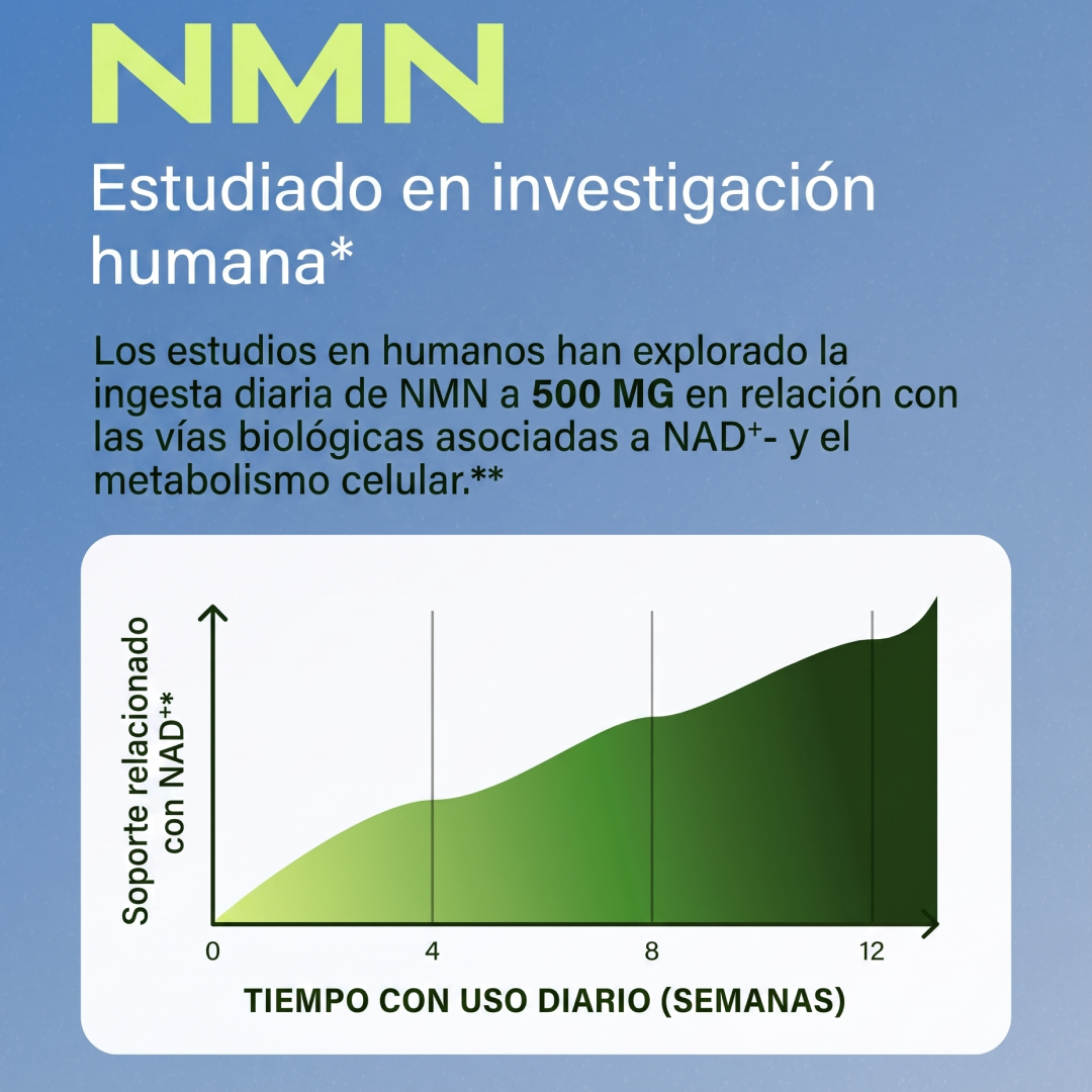 NMN | Suplemento NAD Anti-Age